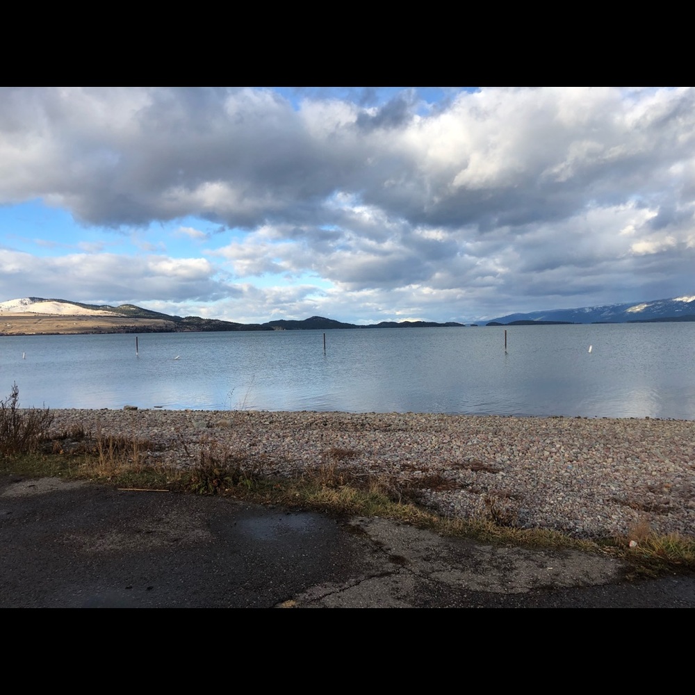 Meet your Posher, Brittney